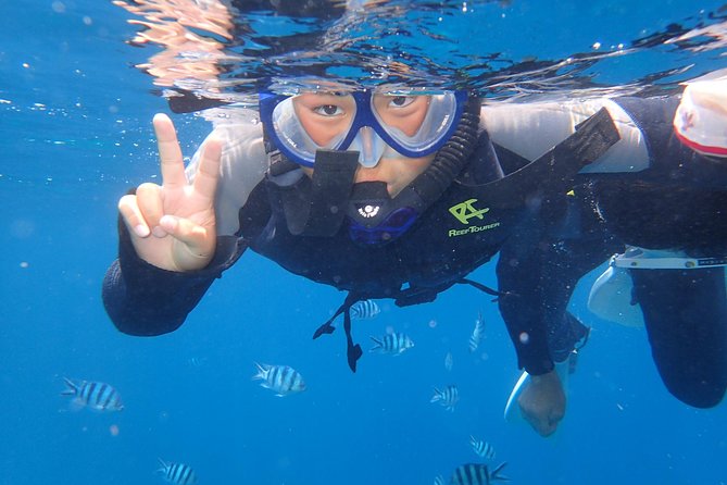 Popular Blue Cave Snorkel! [Okinawa Prefecture] Feeding & Photo Image Free! English, Chinese Guide Available! - Accessibility and Restrictions