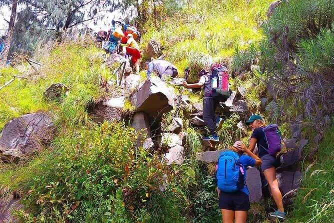 Popular Rinjani Trekking Tour Service To Summit For 2 Days Via Sembalun Trail - Customer Reviews