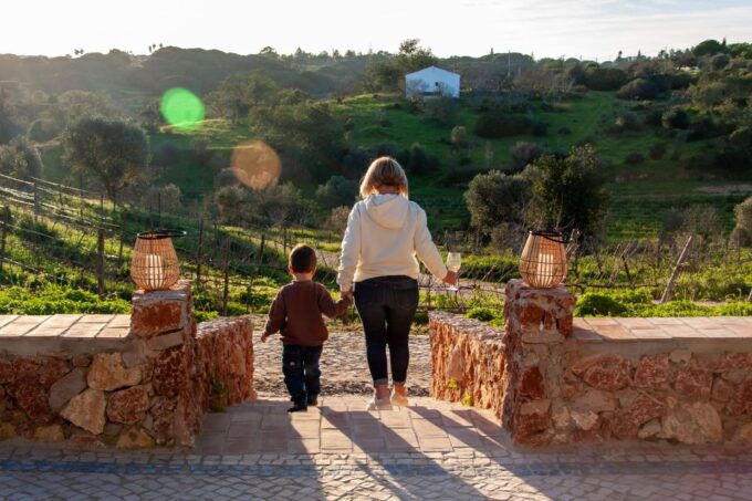 Porches: Algarve Vineyard Tour and Wine Tasting Experience - Discovering Algarve Winemaking Traditions