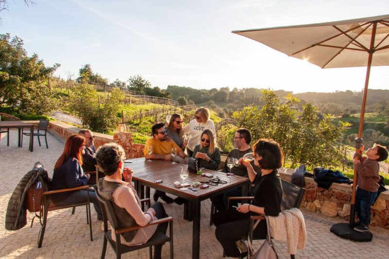 Porches: Algarve Vineyard Tour and Wine Tasting Experience - Vineyard Experience