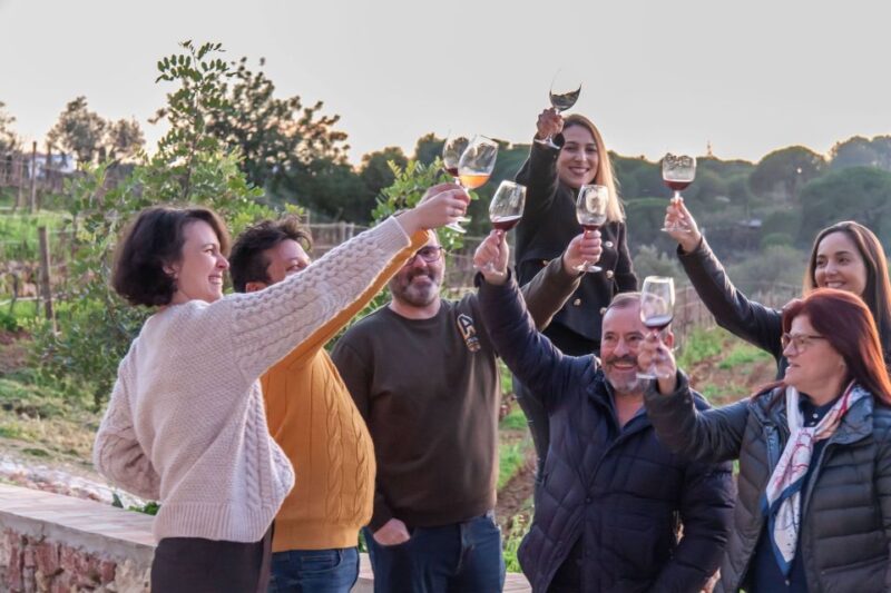 Porches: Algarve Vineyard Tour and Wine Tasting Experience - Customer Reviews and Recommendations