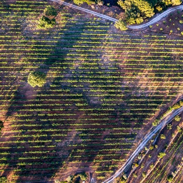Porches: Exclusive Wine Tasting Experience - Wine and Food Pairing
