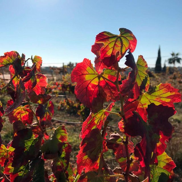 Porches: Exclusive Wine Tasting Experience - Exceptional Service and Quality