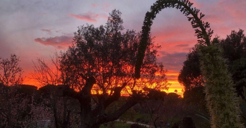 Porches: Sunset Wine Tasting With BBQ - Scenic Outdoor Setting