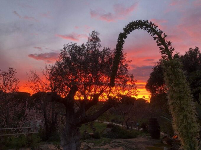 Porches: Sunset Wine Tasting With BBQ - Customer Feedback