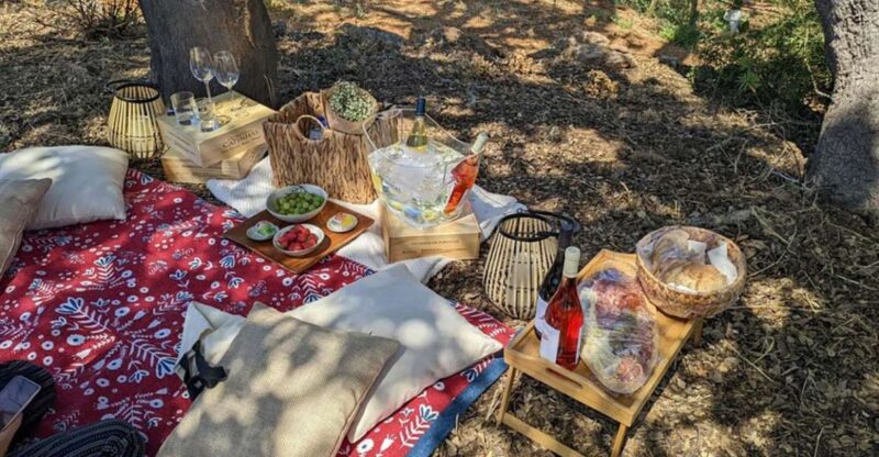 Porches: Vineyard Picnic Experience in the Algarve - Suitability and Important Information