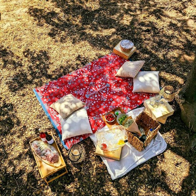 Porches: Vineyard Picnic Experience in the Algarve - Picnic Inclusions and Highlights