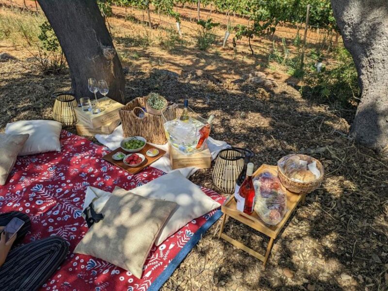 Porches: Vineyard Picnic Experience in the Algarve - Booking and Meeting Point
