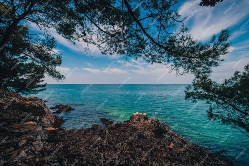 Poreč - A Journey Through 4,000 Years of History - Local Cuisine and Wines