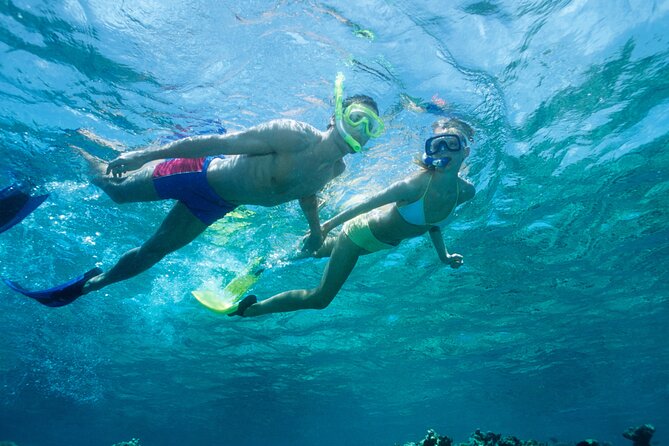 Poreč Panorama and Snorkeling Tour - Tour Overview