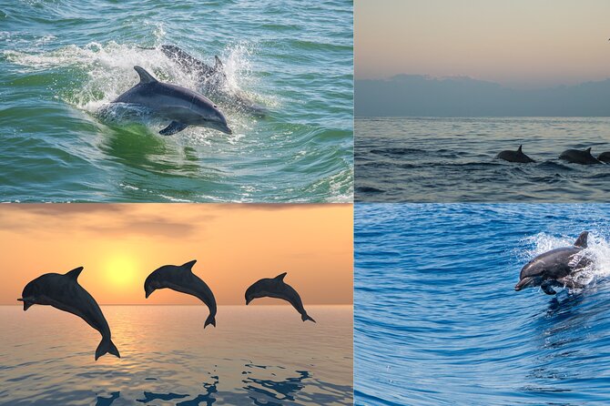 Poreč Panorama and Snorkeling Tour - Accessibility Information
