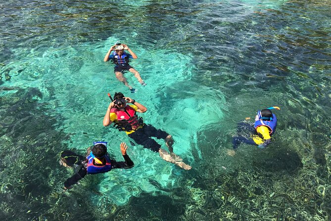 Poreč Panorama and Snorkeling Tour - Group Size