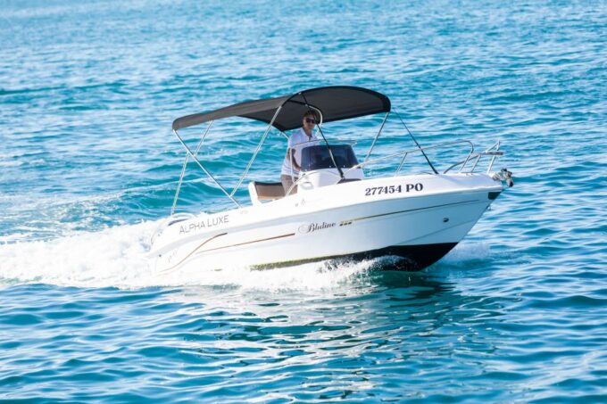 POREČ PRIVATE SNORKELING AND PANORAMIC TOUR - Vibrant Marine Life