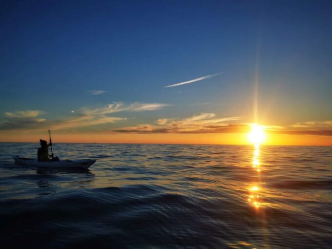 Poreč: Sea Kayaking Sunset Tour - Dolphin Spotting Opportunities