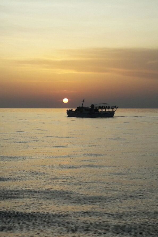 Poreč: Sunset Dolphin Safari Cruise With Drinks - Experience Highlights