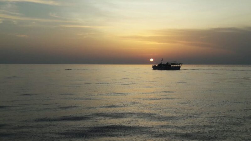 Poreč: Sunset Dolphin Safari Cruise With Drinks - Onboard Amenities