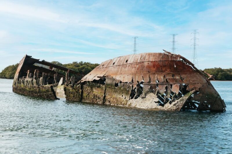 Port Adelaide: Dolphin and Ships Graveyard Cruise - Vessel Amenities and Accessibility