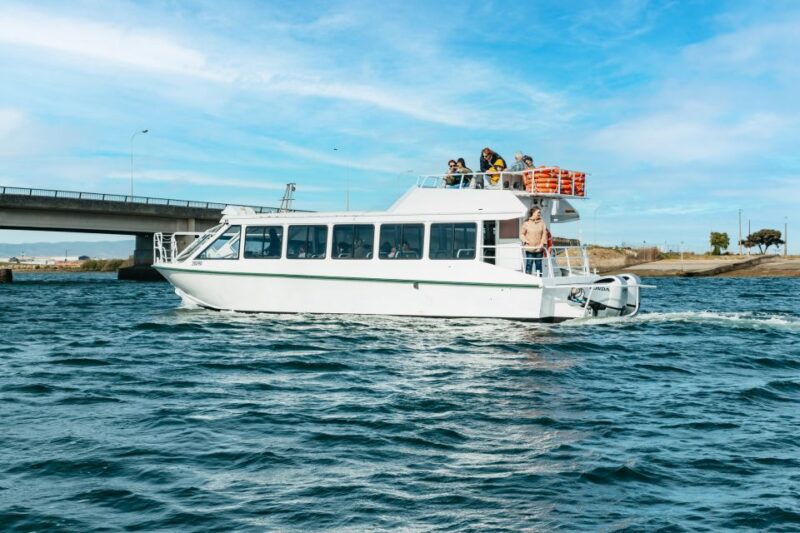 Port Adelaide: Dolphin and Ships Graveyard Cruise - Cruise Path and Duration