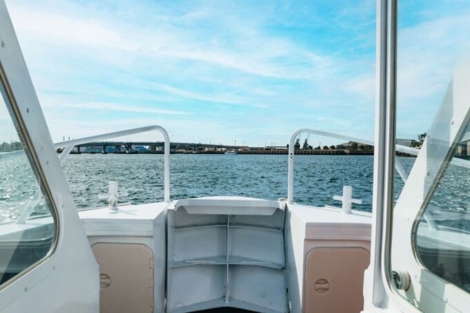 Port Adelaide: Dolphin and Ships Graveyard Cruise - Important Considerations