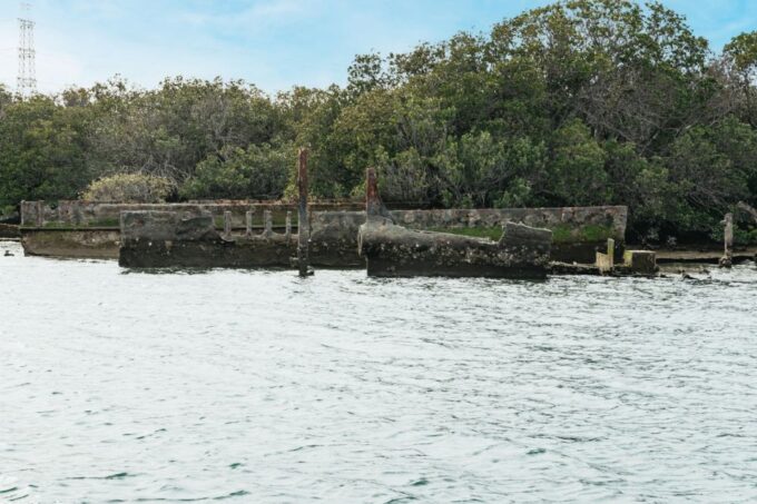 Port Adelaide: Dolphin and Ships Graveyard Cruise - Cancellation and Payment Policy
