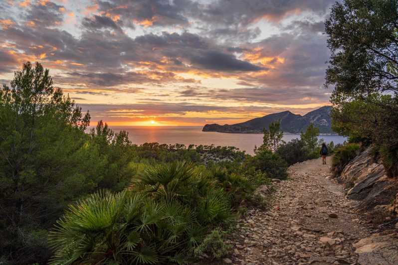Port Andratx: Hiking Tour Into the Sunset to Sant Elm - Key Points