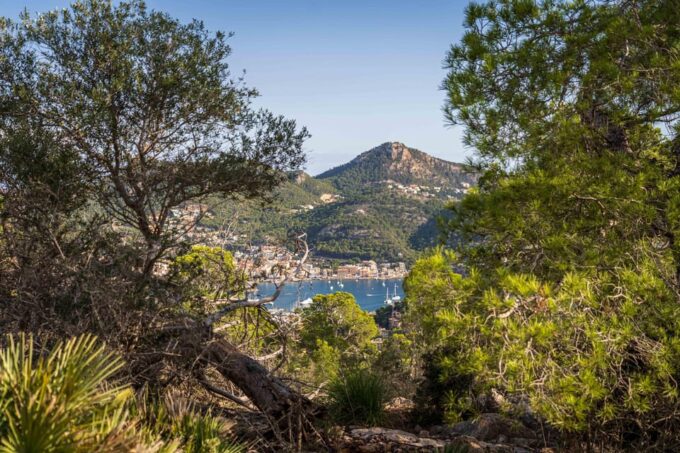 Port Andratx: Hiking Tour Into the Sunset to Sant Elm - Customer Reviews