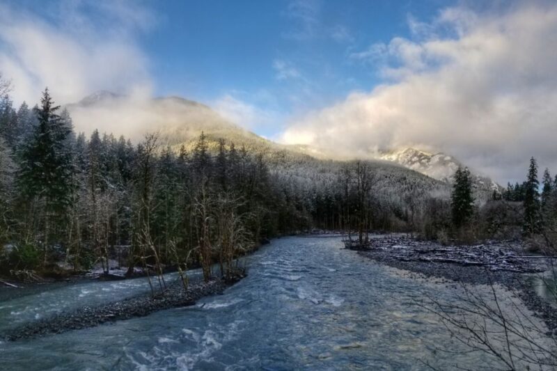 Port Angeles: Olympic National Park Driving Audio Tour - Experience and Itinerary Highlights