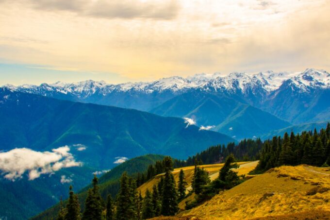 Port Angeles: Olympic National Park Driving Audio Tour - Diverse Ecosystems and Scenic Wonders