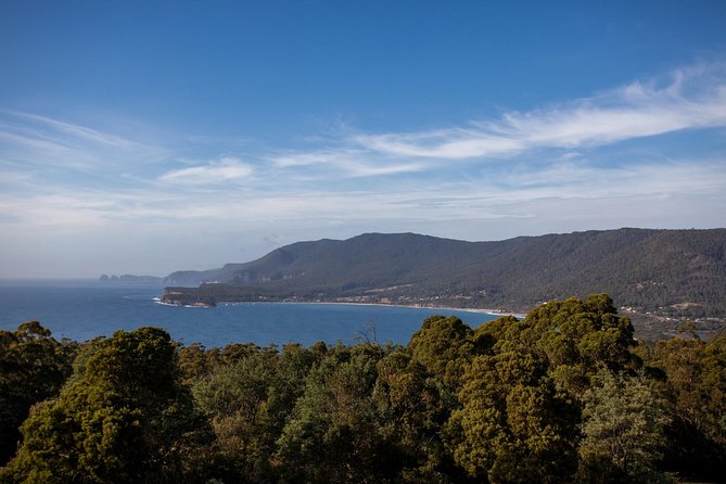 Port Arthur, Richmond and Tassie Devils Active Tour From Hobart - Additional Information