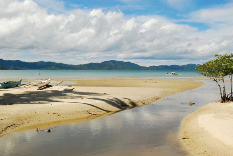 Port Barton: Island Hopping to Turtle Spot & Reef With Lunch - Participant Information