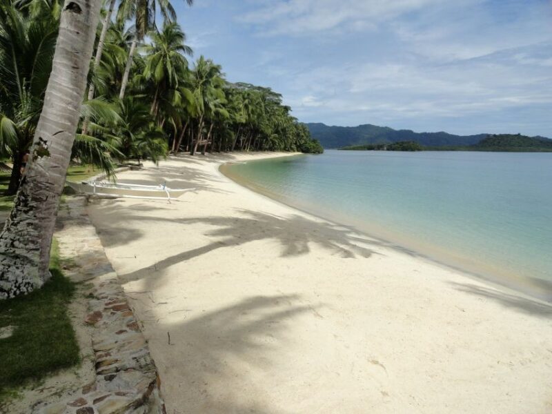Port Barton: Island Hopping to Turtle Spot & Reef With Lunch - Booking Flexibility