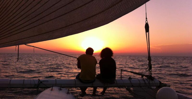 Port Camargue: Half-Day Sailing Tour on a Racing Catamaran - Conviviality With a Small Group