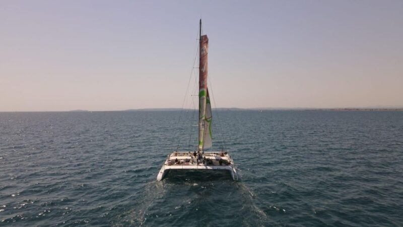 Port Camargue: Half-Day Sailing Tour on a Racing Catamaran - Sharing Stories About the Sea