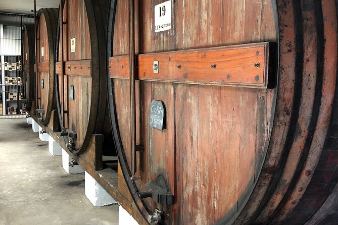Port Cellar Visit & Tasting - Highlights of the Experience