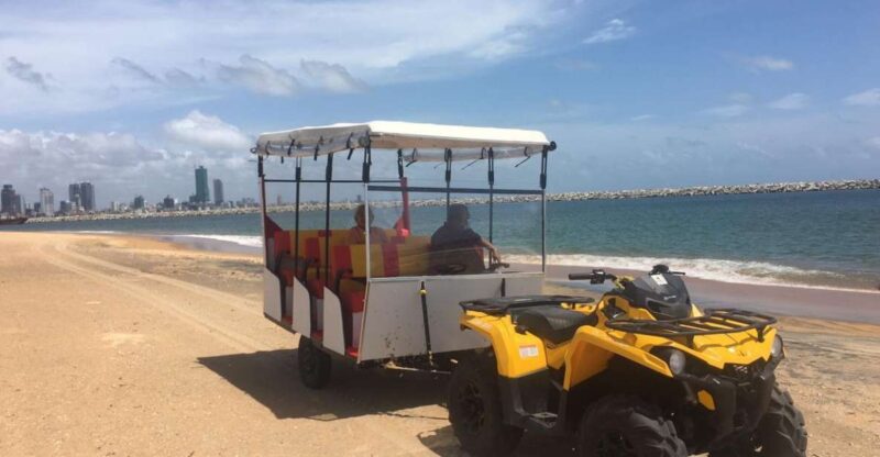 Port City Beach Safari - Experience Highlights