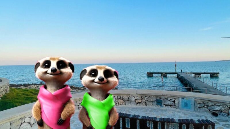 Port Dalcudia: Meet the Magical Creatures,Family Game &Walk - Key Points
