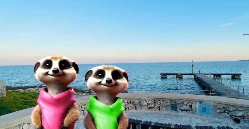 Port Dalcudia: Meet the Magical Creatures,Family Game &Walk - Booking Information