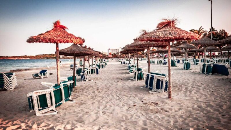 Port Dalcudia: Meet the Magical Creatures,Family Game &Walk - Songs, Videos, and Childrens Stories