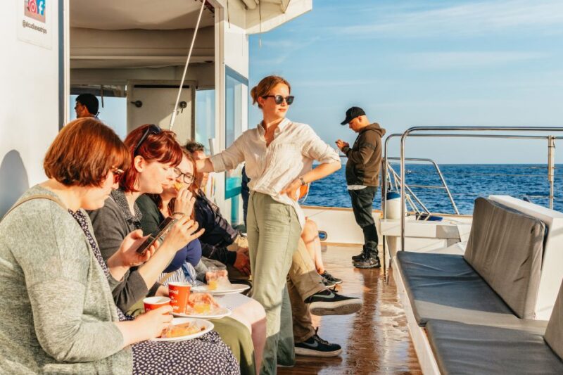 Port Dalcudia: Sunrise at Sea & Dolphin Watching Boat Tour - Whats Included