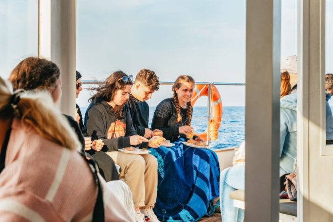 Port Dalcudia: Sunrise at Sea & Dolphin Watching Boat Tour - Opportunities for Dolphin Sighting