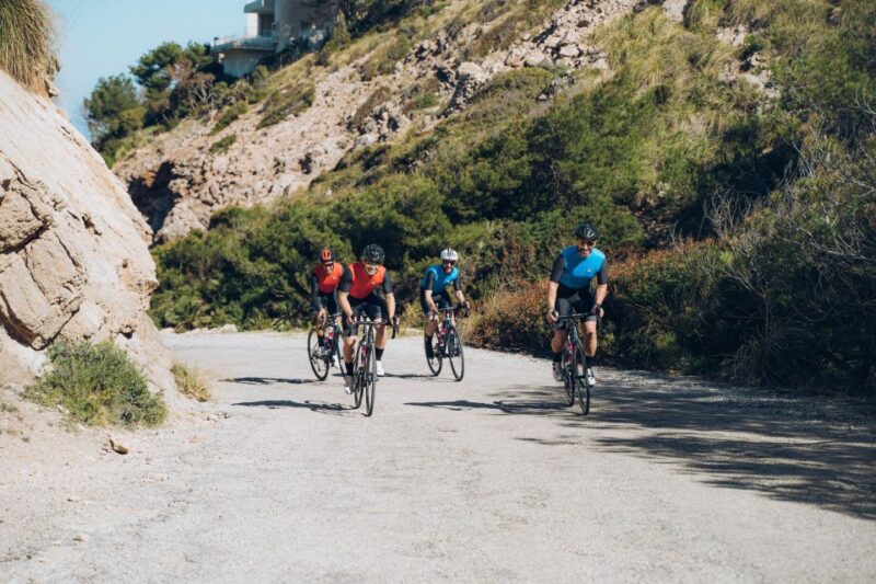 Port De Pollença: Ultimate Bike Rental - Key Points