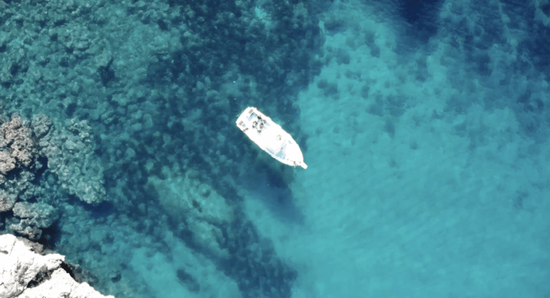 Port De Sóller: Snorkeling Tour With Professional Guide - Tour Options and Availability