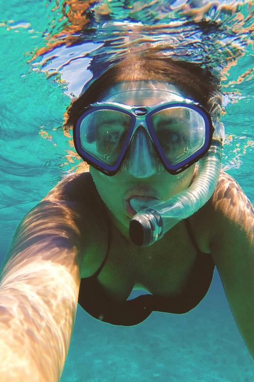 Port De Sóller: Snorkeling Tour With Professional Guide - Highlights of the Snorkeling Experience