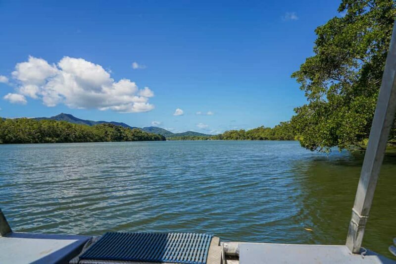 Port Douglas: Afternoon Daintree Tour w/ Wildlife Cruise - Authentic Wildlife Encounters and Informative Guides
