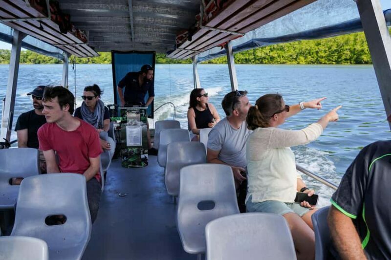 Port Douglas: Afternoon Daintree Tour w/ Wildlife Cruise - Value for Money and Overall Experience