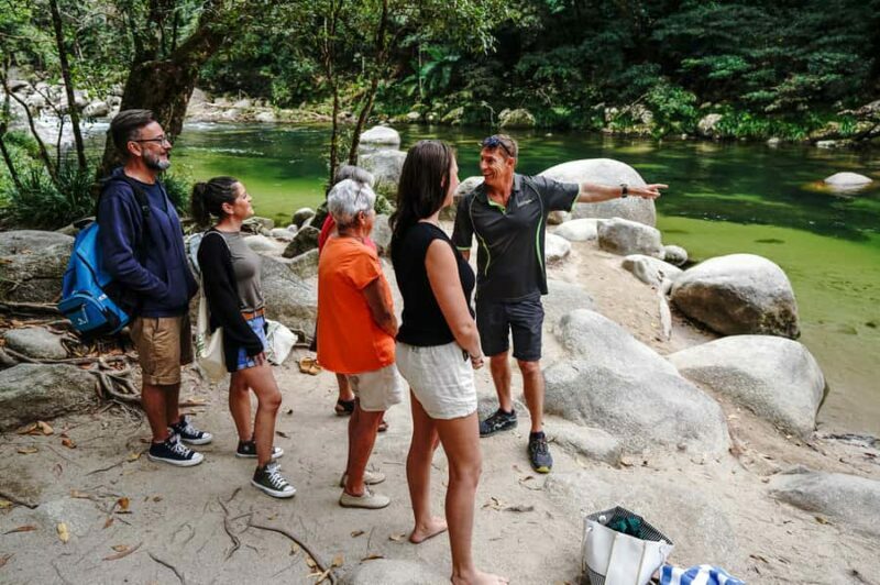Port Douglas: Best of Daintree Rainforest Day Tour - An Overview of the Experience