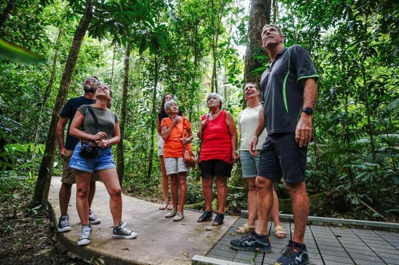Port Douglas: Best of Daintree Rainforest Day Tour - Morning Tea: A Local Touch