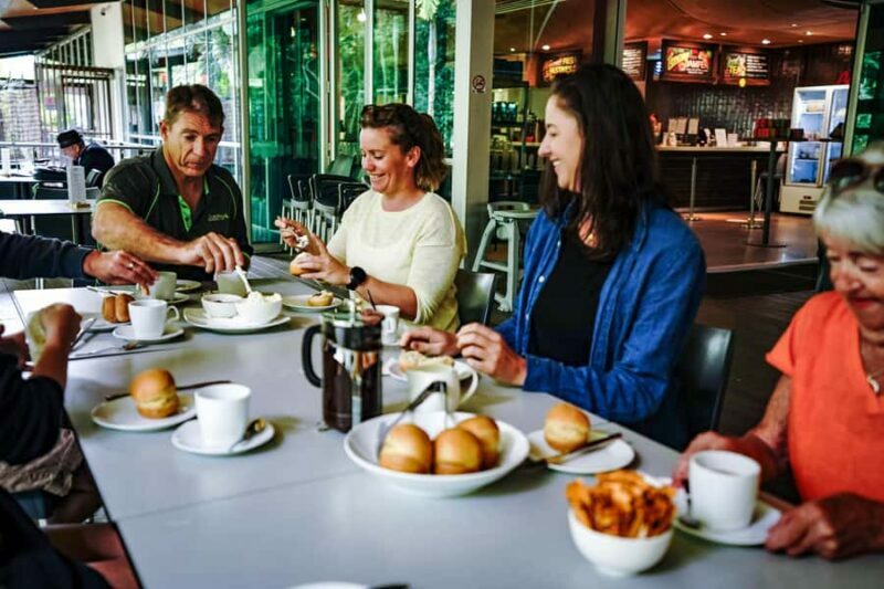 Port Douglas: Best of Daintree Rainforest Day Tour - Daintree River Wildlife Cruise
