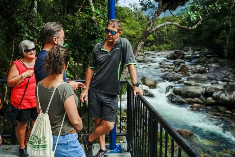 Port Douglas: Best of Daintree Rainforest Day Tour - Daintree Boardwalk and Flora