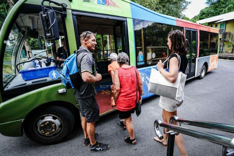 Port Douglas: Best of Daintree Rainforest Day Tour - Refreshing Swim in Cooper Creek